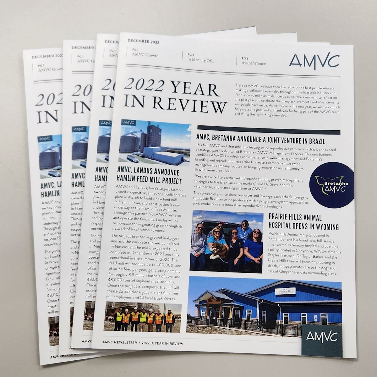 AMVC 2022 Year in Review