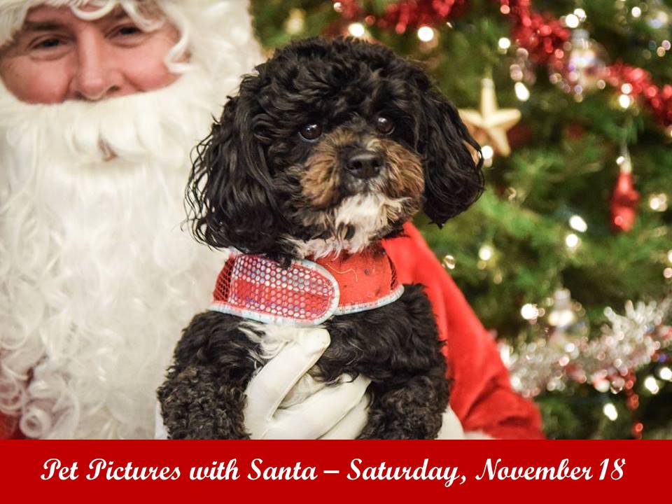 Mark your calendar for Pet Pictures with Santa