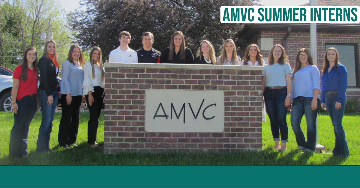 AMVC summer interns 