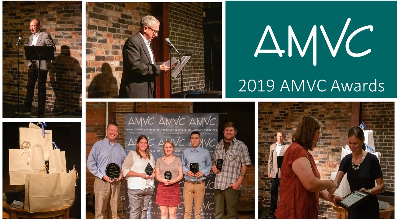 AMVC awards employees