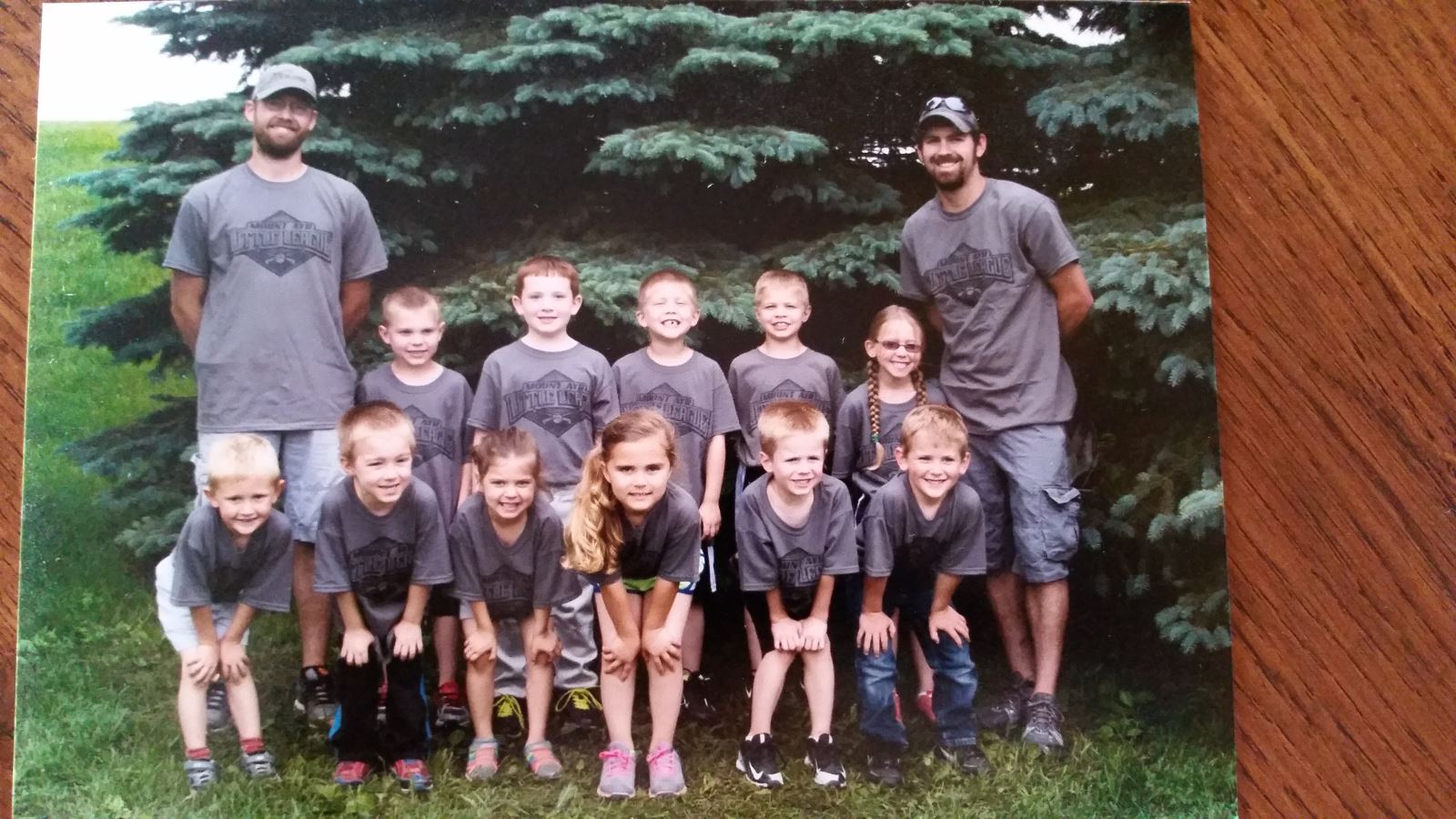 Mt Ayr baseball sponsorship