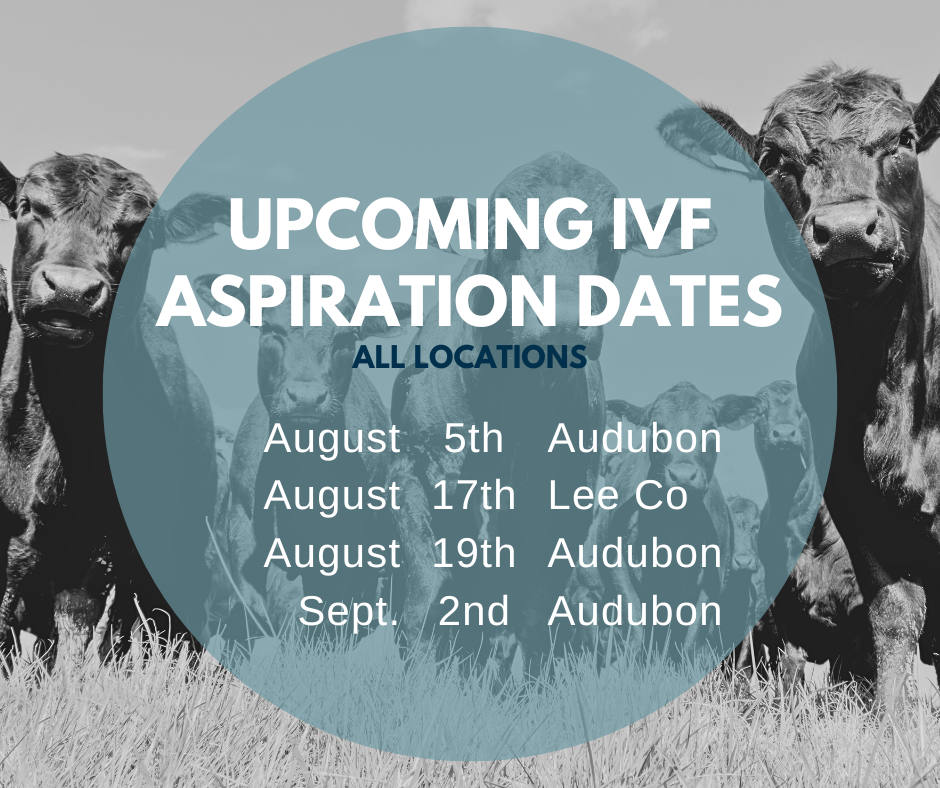 Email cattlerepro@amvcms.com or call 712-563-4201 to get on the schedule!