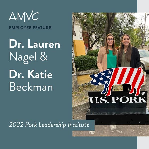 AMVC Swine Veterinarians Participate in 2022 Pork Leadership Institute
