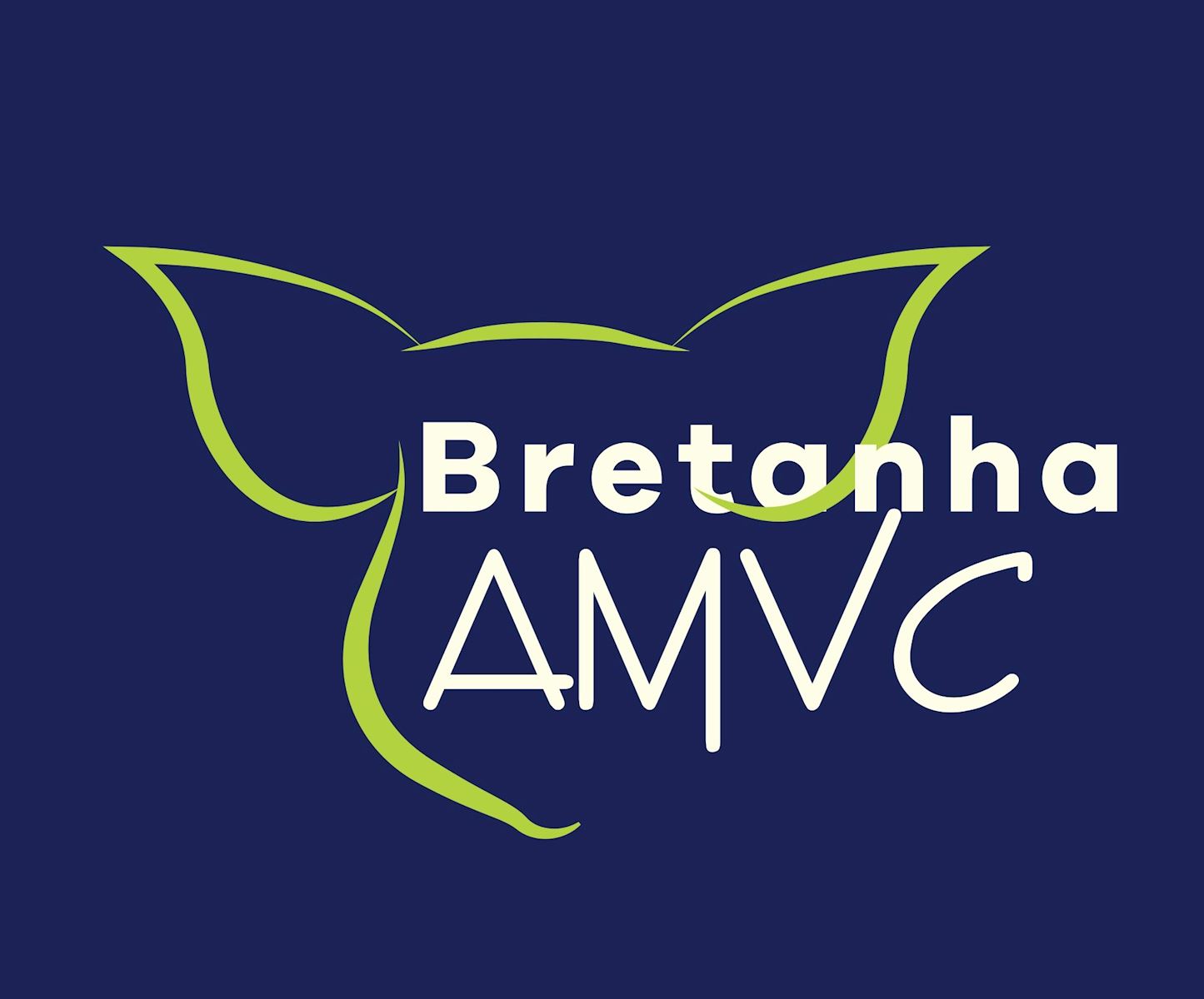 AMVC, Bretanha announce a joint venture in Brazil