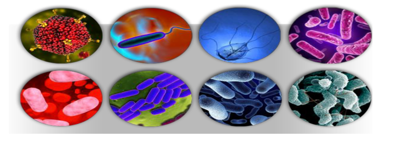pathogen