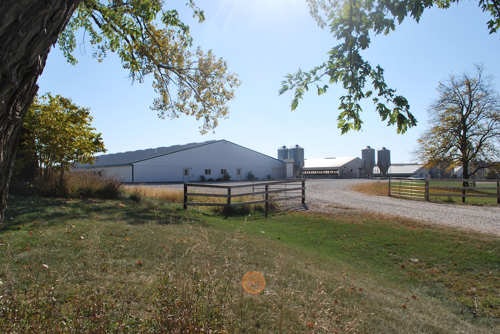 Sow Barn