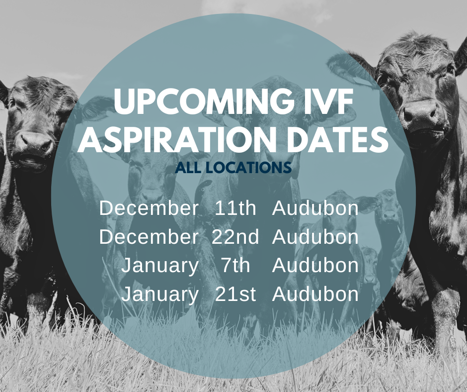 Email cattlerepro@amvcms.com or call 712-563-4201 to get on the schedule!