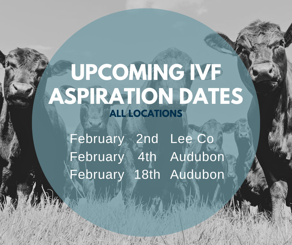 Email cattlerepro@amvcms.com or call 712-563-4201 to get on the schedule!