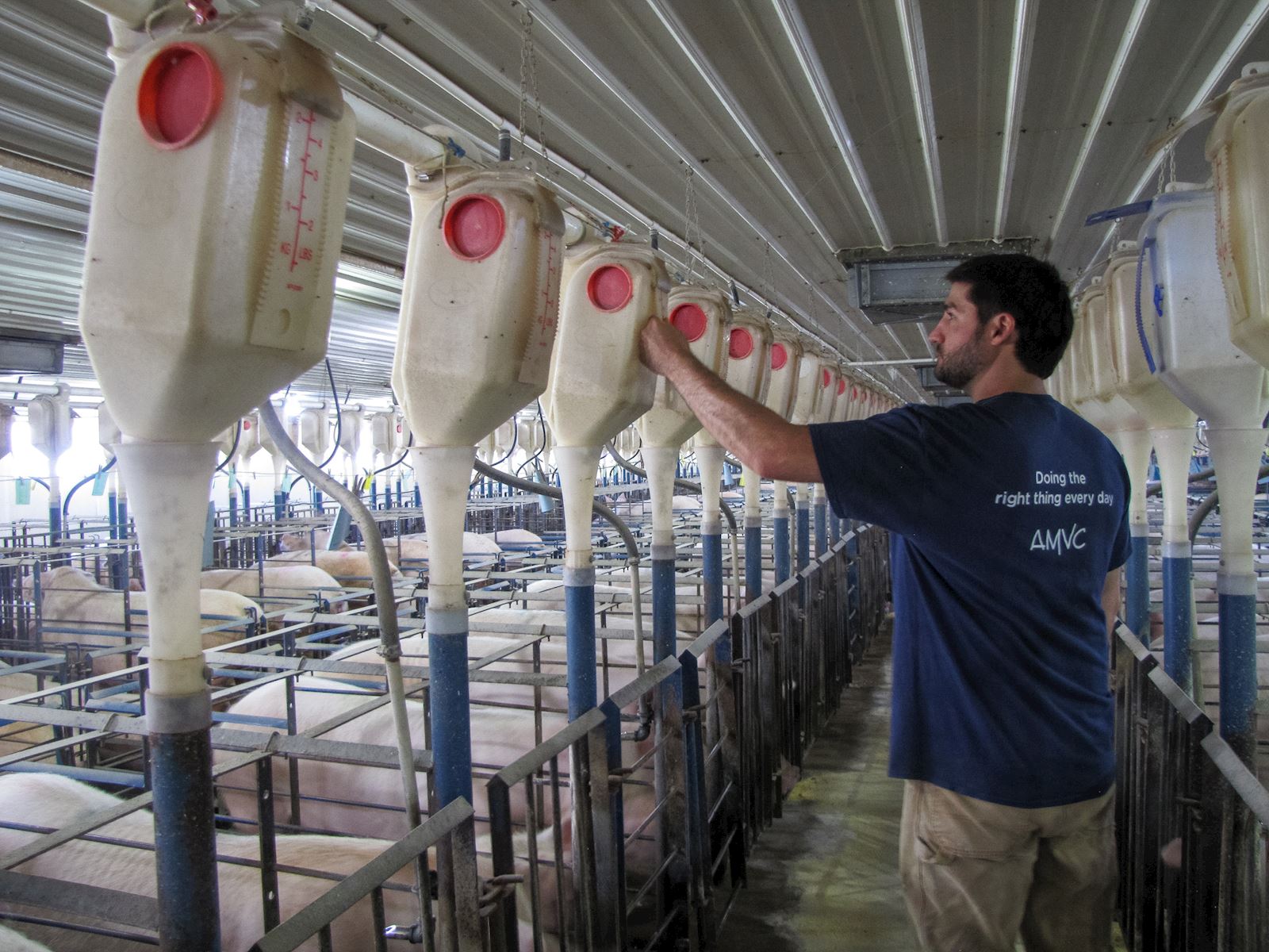 Caretaker engagement is proper feeding program implementation