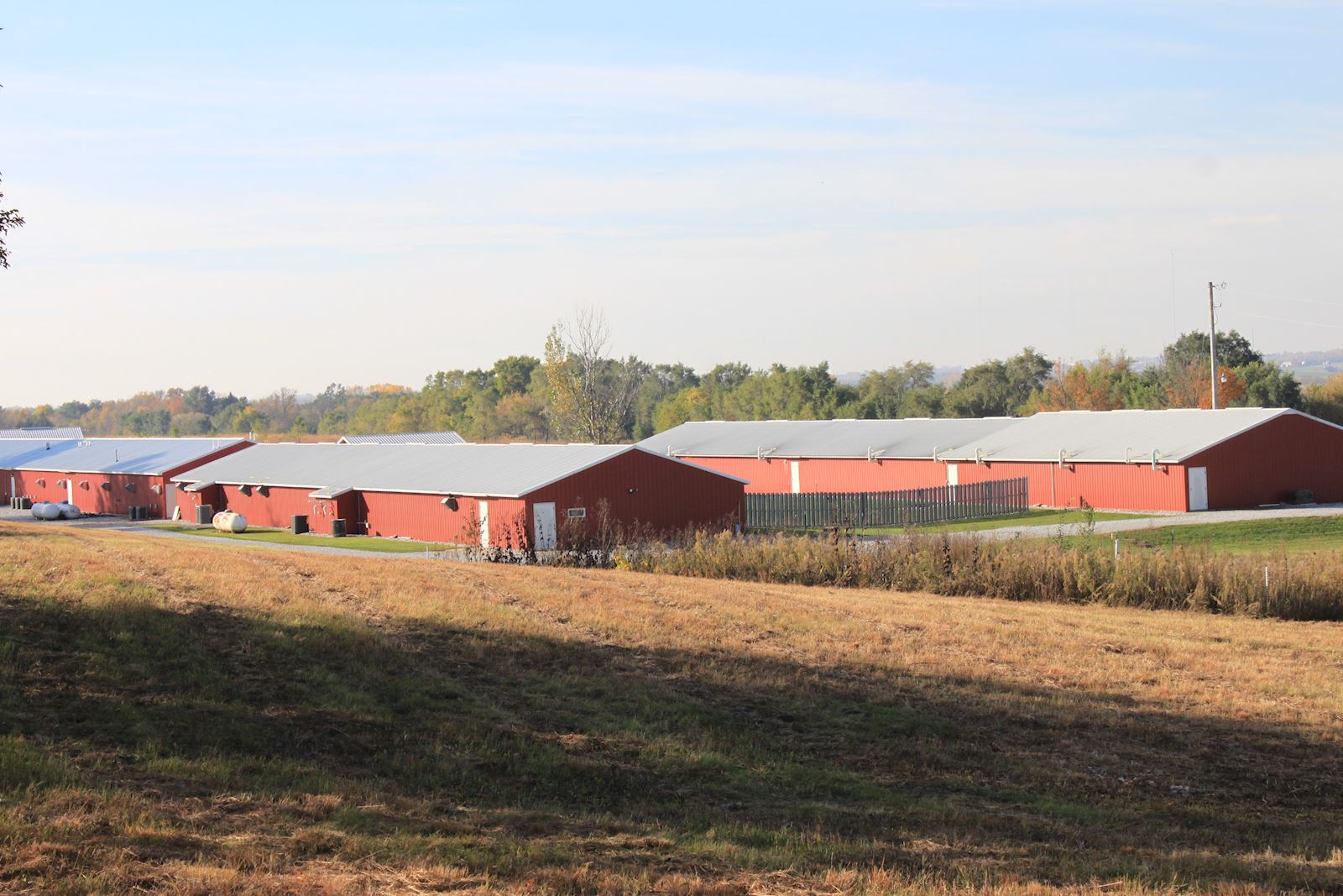 barn
