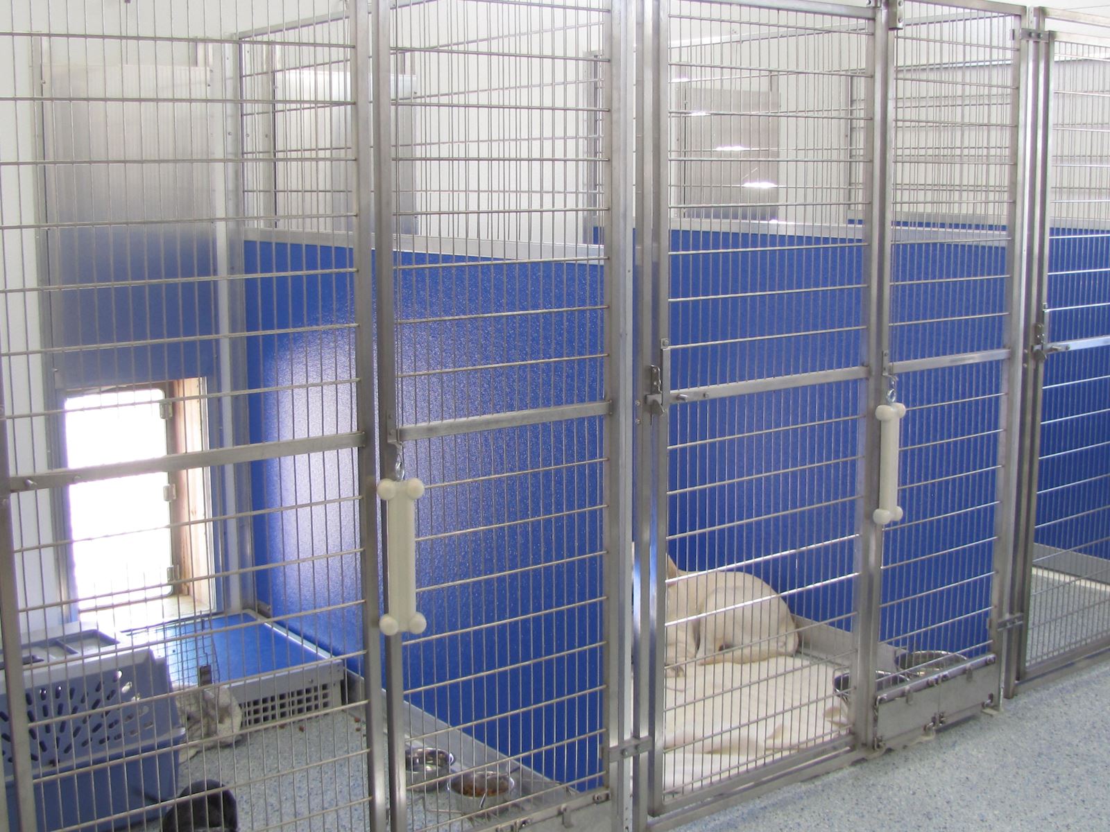 Inside and outside access for your pet