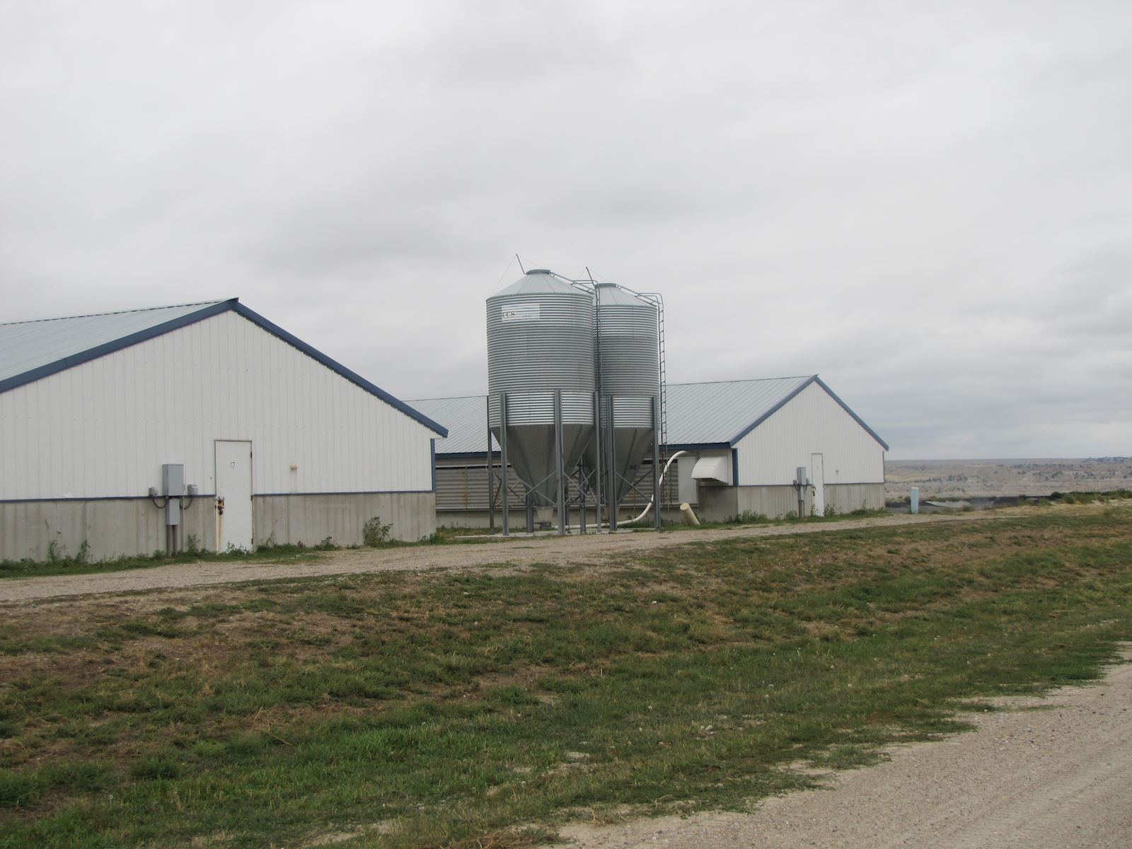 What does a nutritionist look for when walking through your barn?