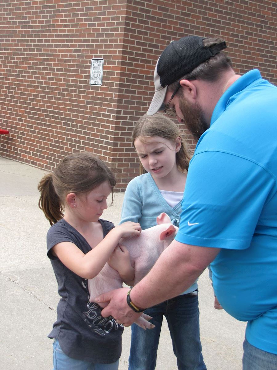 Mt ayr piglets