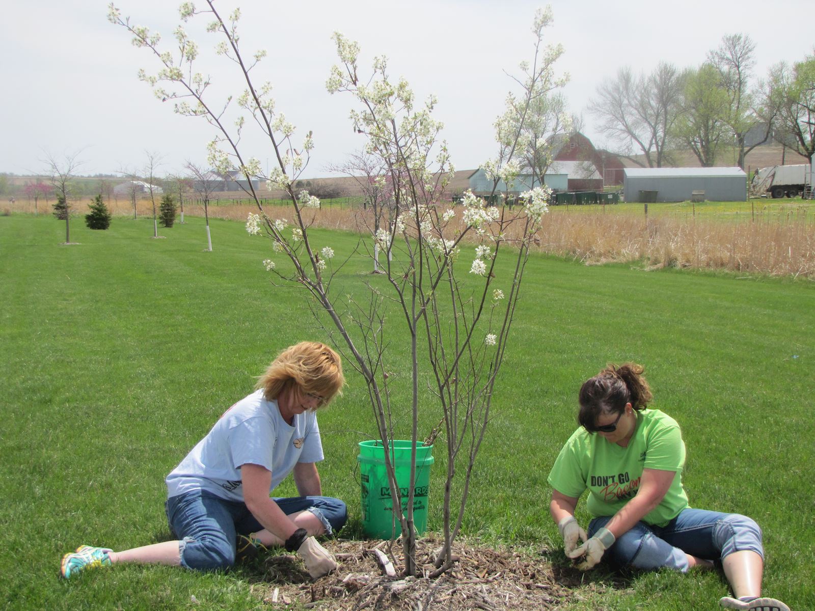 AMVC Cares park