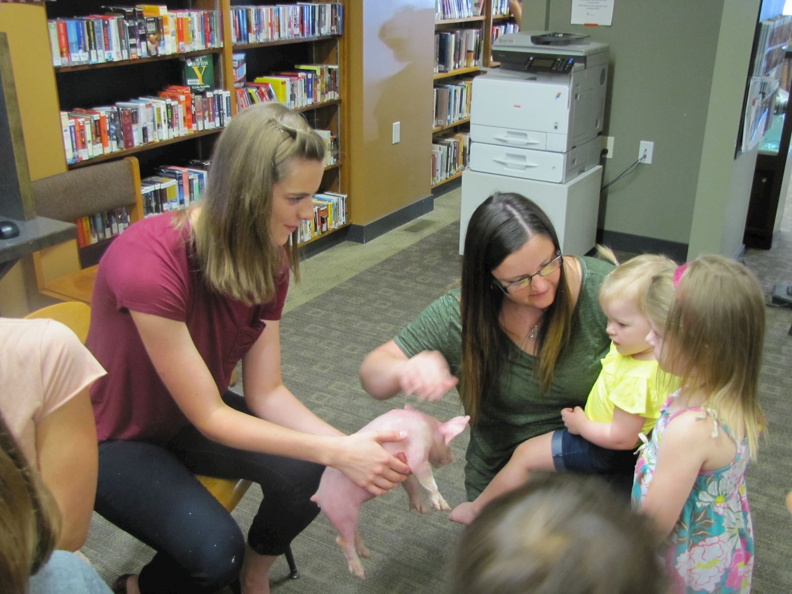 library piglet