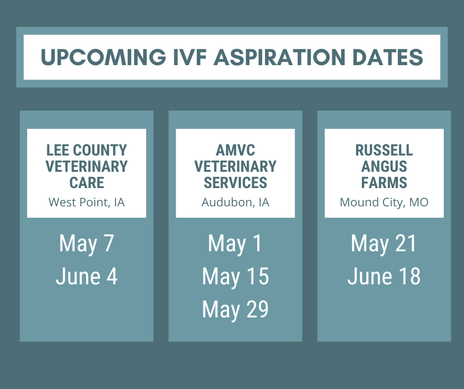 Email cattlerepro@amvcms.com or call 712-563-4201 to get on the schedule!
