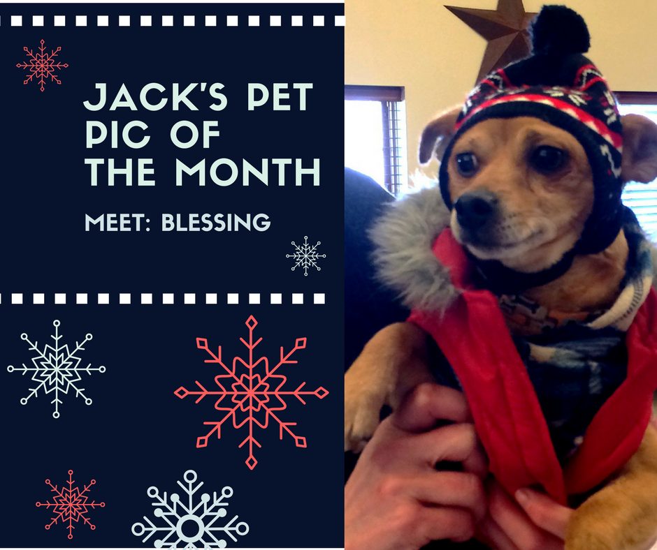 Meet Blessing: Jack's Pet Pic of the Month
