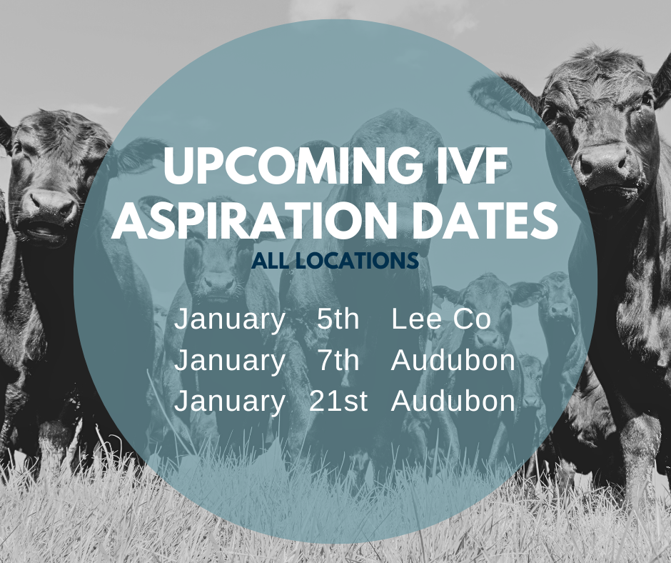 Email cattlerepro@amvcms.com or call 712-563-4201 to get on the schedule!