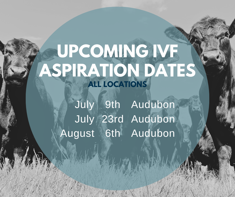 Email cattlerepro@amvcms.com or call 712-563-4201 to get on the schedule!