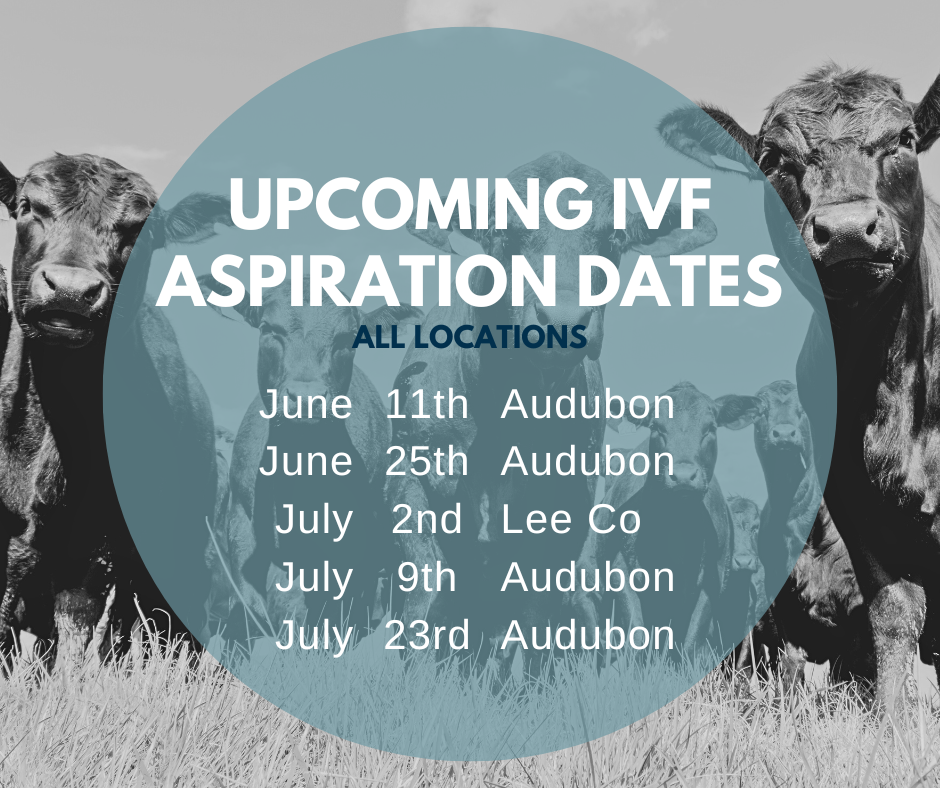 Email cattlerepro@amvcms.com or call 712-563-4201 to get on the schedule!