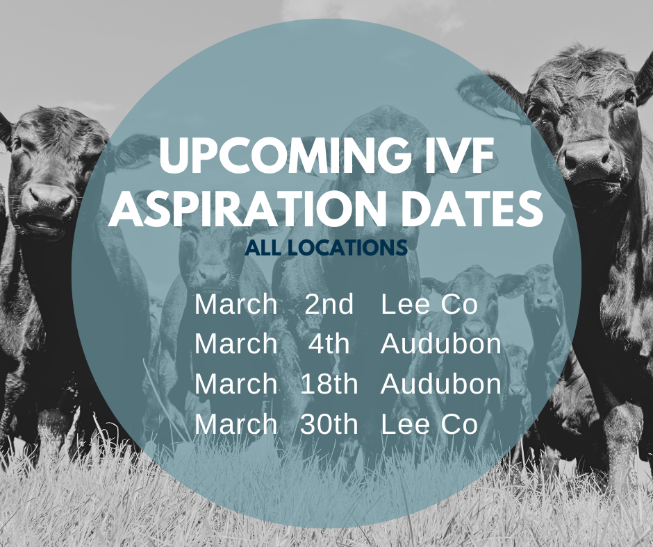 Email cattlerepro@amvcms.com or call 712-563-4201 to get on the schedule!