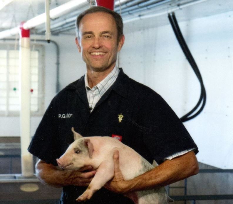 Dr. Max Rodibaugh, AMVC Swine Health Services veterinarian, holds a piglet