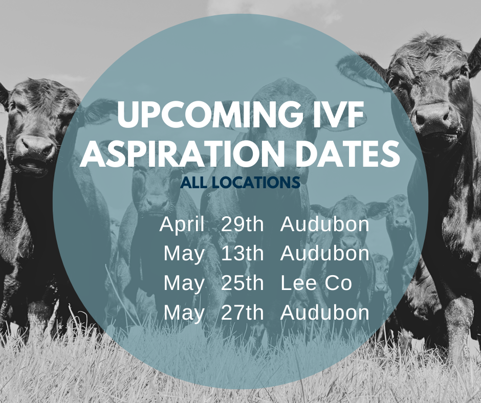 Email cattlerepro@amvcms.com or call 712-563-4201 to get on the schedule!