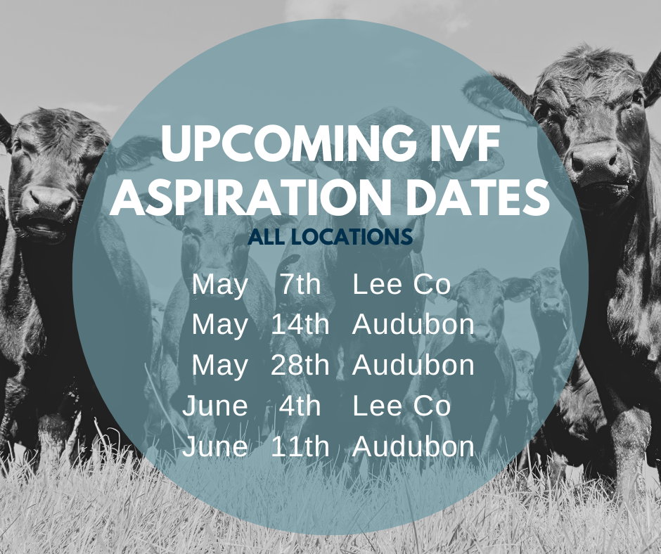 Email cattlerepro@amvcms.com or call 712-563-4201 to get on the schedule!