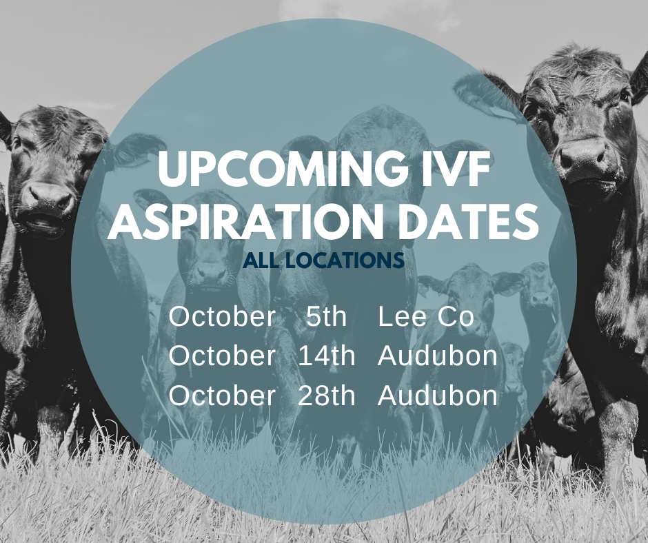 Email cattlerepro@amvcms.com or call 712-563-4201 to get on the schedule!