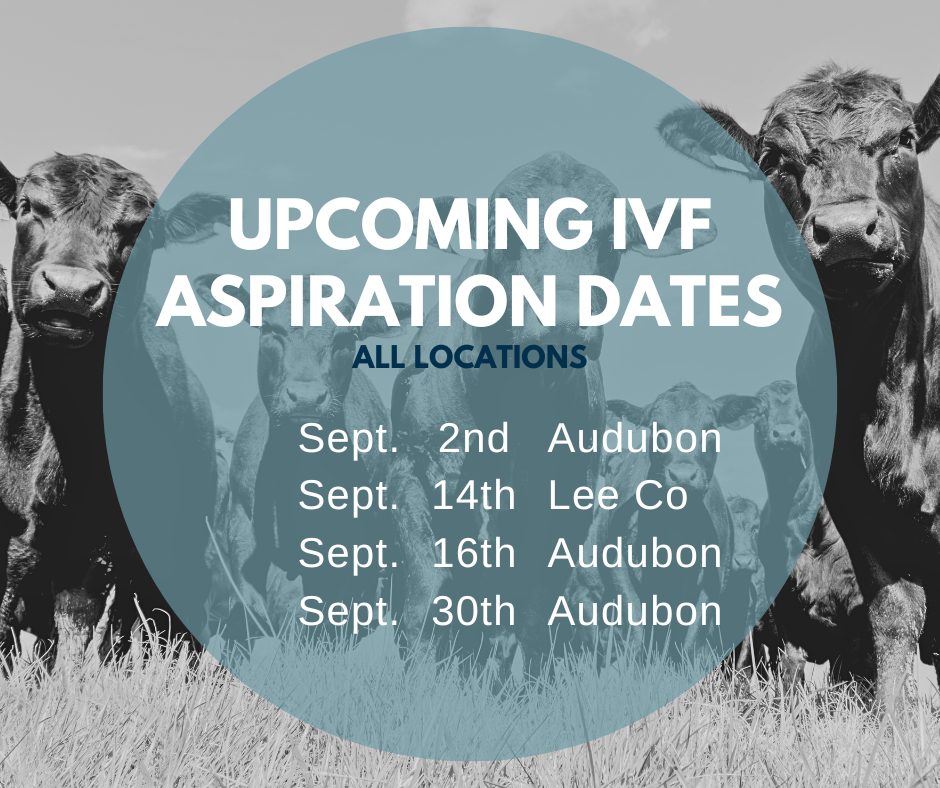 Email cattlerepro@amvcms.com or call 712-563-4201 to get on the schedule!