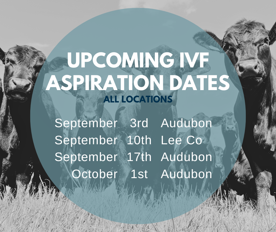 Email cattlerepro@amvcms.com or call 712-563-4201 to get on the schedule!