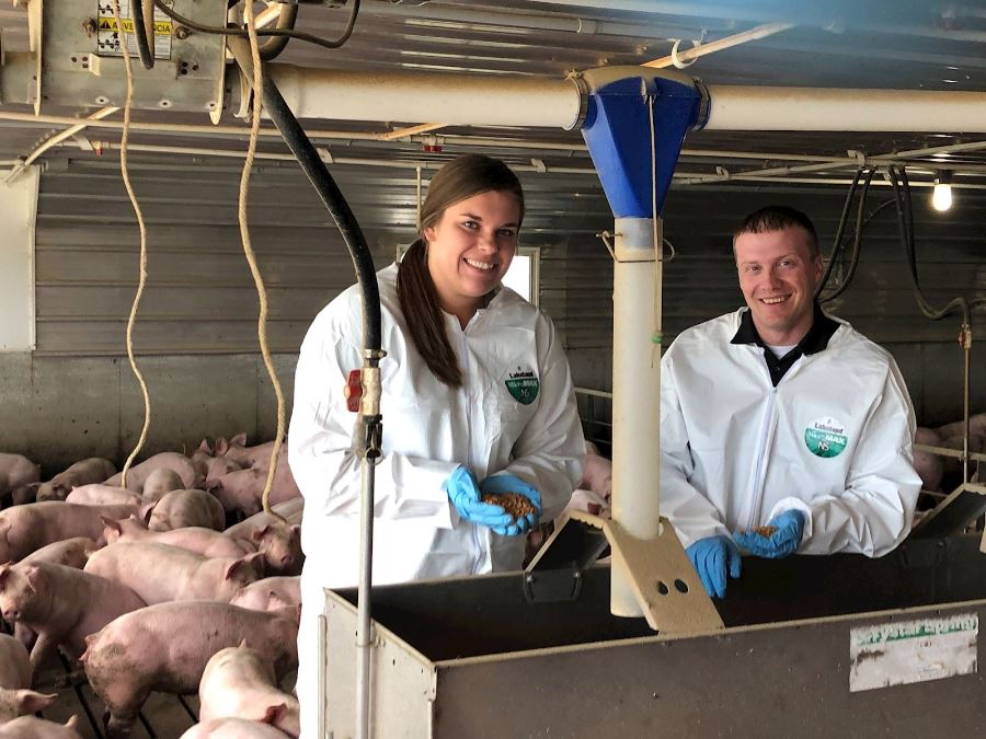 Lessons learned from mentoring swine nutrition interns
