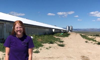 Annie standing in front of sow barn