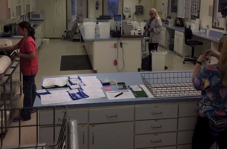 Genetic Sourcing