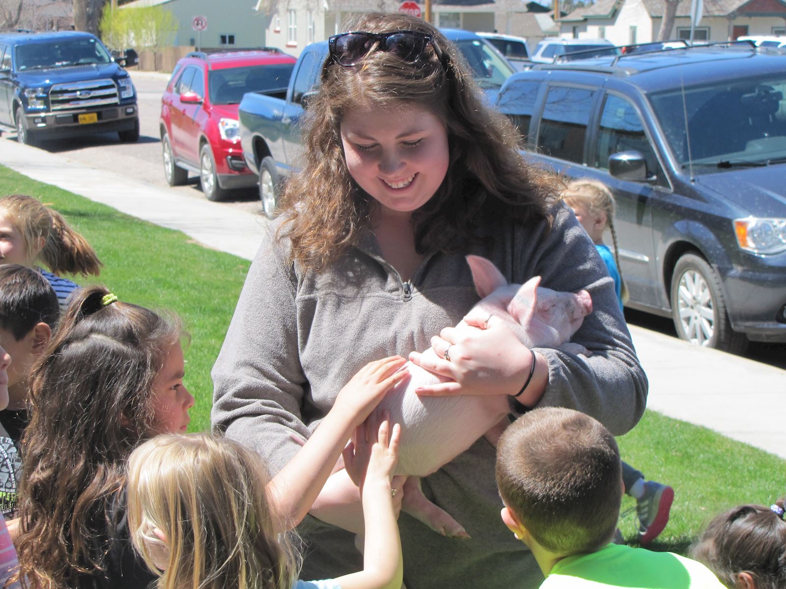 Wheatland students learn about pig farming