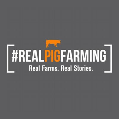 AMVC interns selected to participate in #RealPigFarming Social Forces